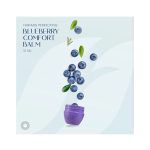 بالم لب فارماسی مدل Blueberry Comfort حجم 15میل - Image 2