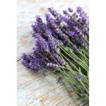 روغن ماساژ لوندر فارماسی 225میل - Image 2