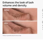 سرم چندپپتیدی ابرو و مژه اوردینری - Image 2